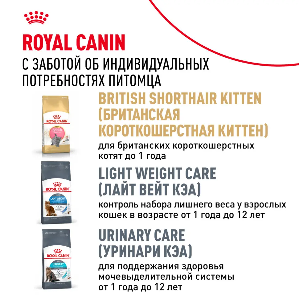 Royal canin british shorthair сухой корм для взрослых кошек породы британская короткошерстная - 400 г в интернет-зоомагазине Pets Room