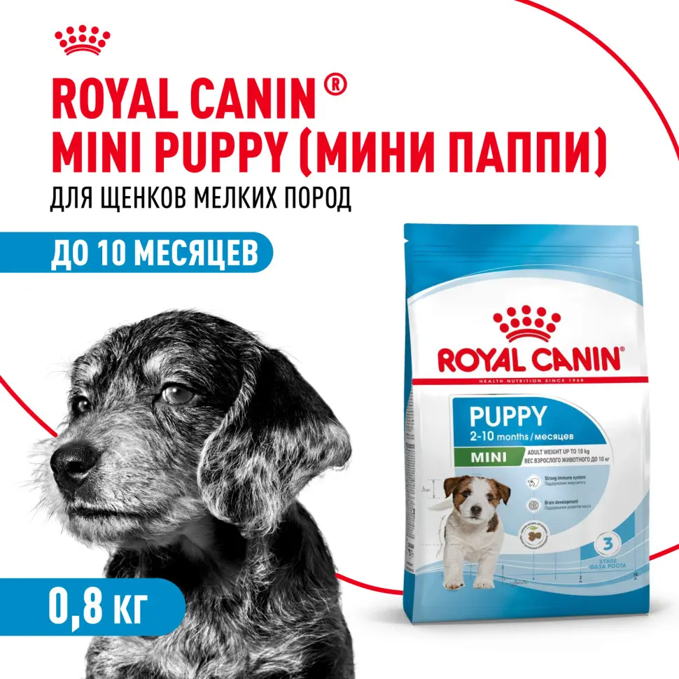 Royal canin mini puppy сухой корм для щенков мелких пород до 8 месяцев - 800 г в интернет-зоомагазине Pets Room