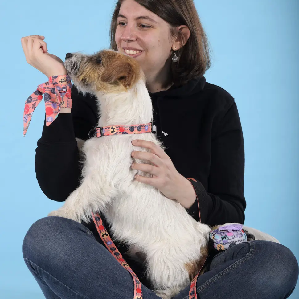 United pets complete me forever ошейник для собак, m 34-56/2 см, оранжевый с рисунком в интернет-зоомагазине Pets Room