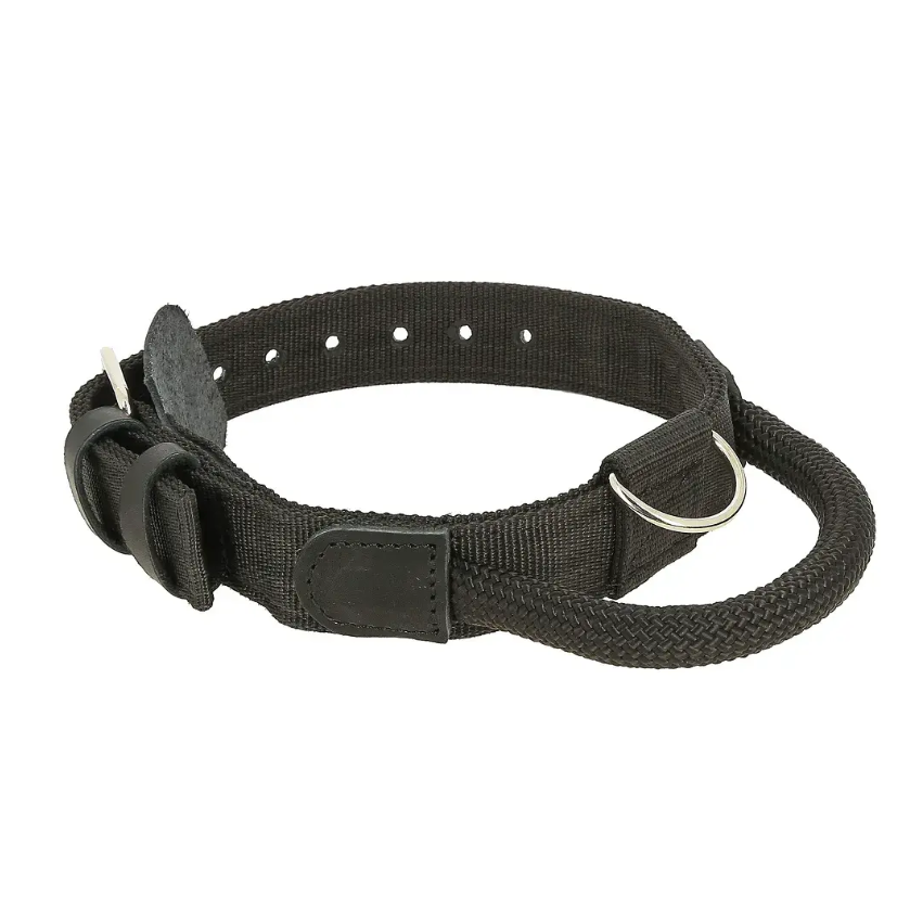 Ошейник нейлон 40 мм с ручкой, обхват шеи 40-60 см в интернет-зоомагазине Pets Room