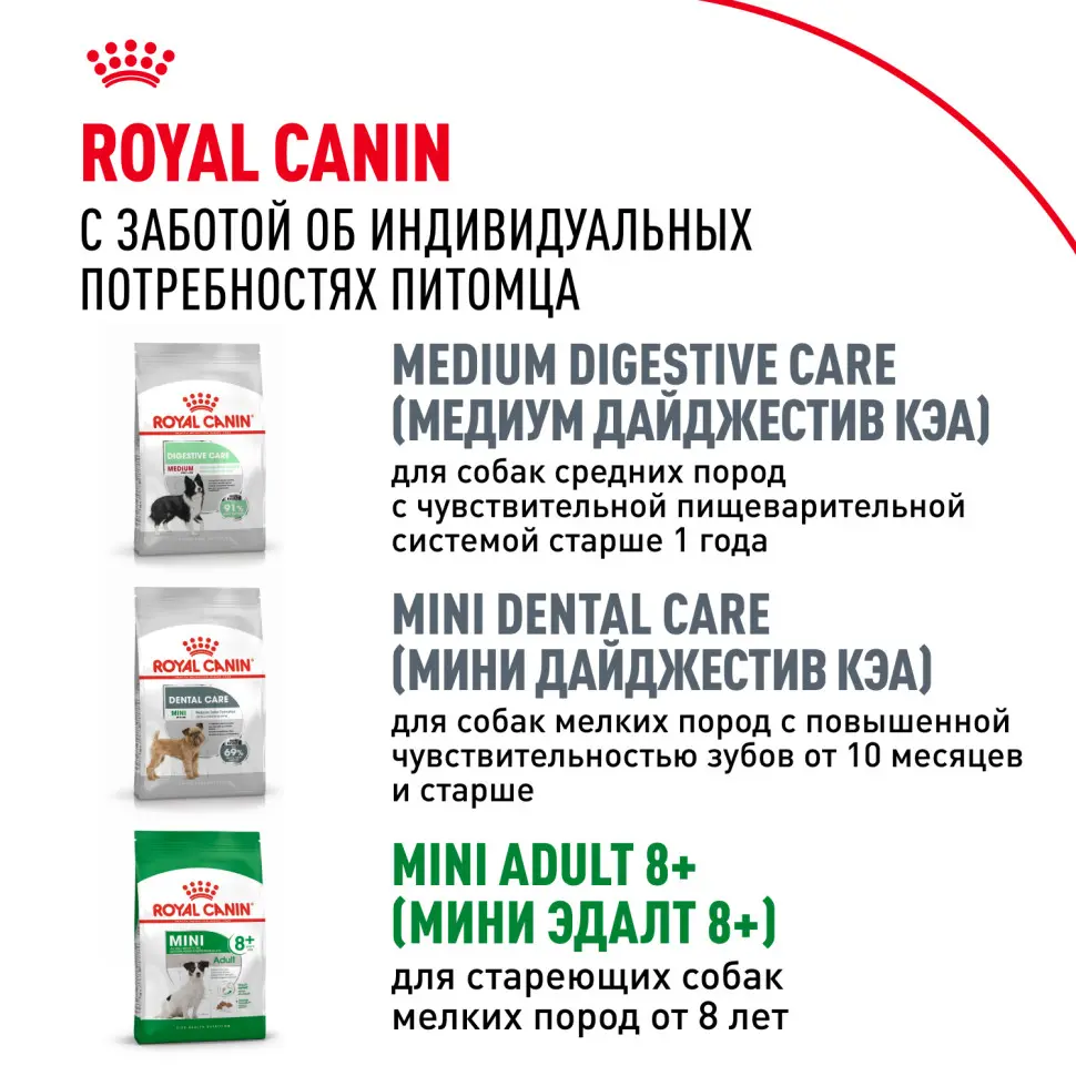 Royal canin mini adult сухой корм для собак мелких пород - 800 г в интернет-зоомагазине Pets Room
