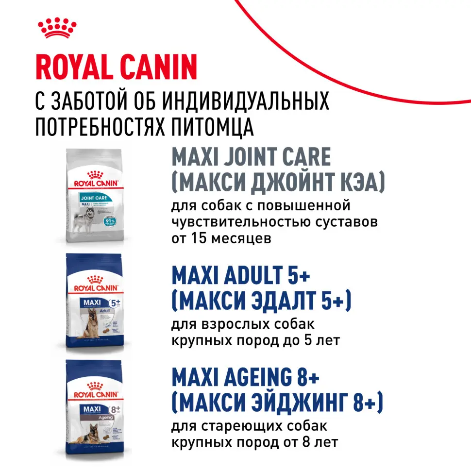 Royal canin maxi adult сухой корм для взрослых собак крупных пород - 3 кг в интернет-зоомагазине Pets Room