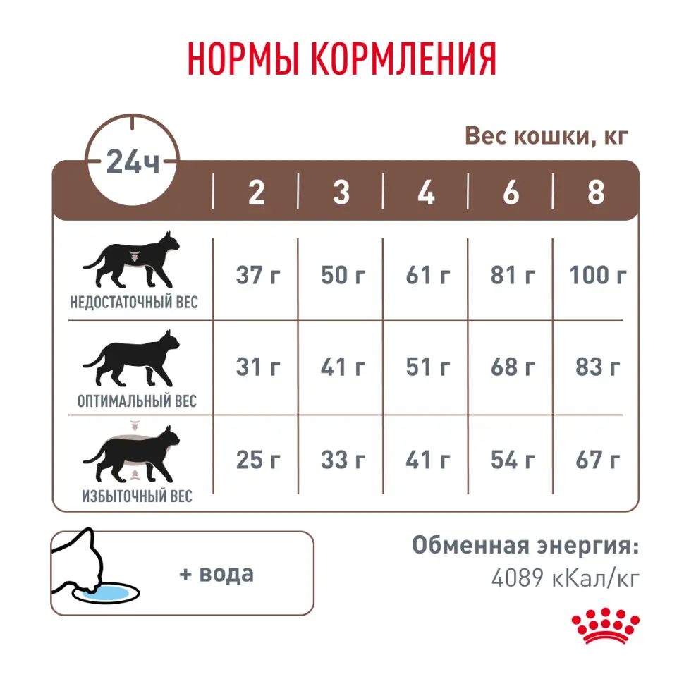 Royal canin gastro intestinal gi32 feline сухой корм для кошек с заболеваниями печени и жкт острого и хронического характера - 2кг в интернет-зоомагазине Pets Room