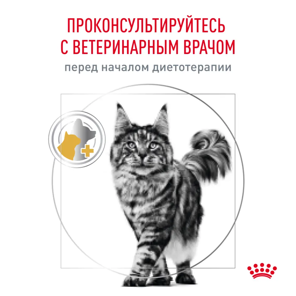 Royal canin urinary s/o сухой диетический корм для взрослых кошек, способствующий растворению струвитных мочевых камней и снижению риска их повторного образования - 350 г в интернет-зоомагазине Pets Room