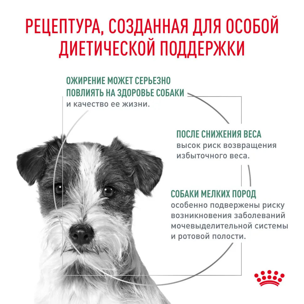 Royal canin satiety weight management small dogs сухой корм для взрослых собак мелких пород для снижения веса - 500 г в интернет-зоомагазине Pets Room