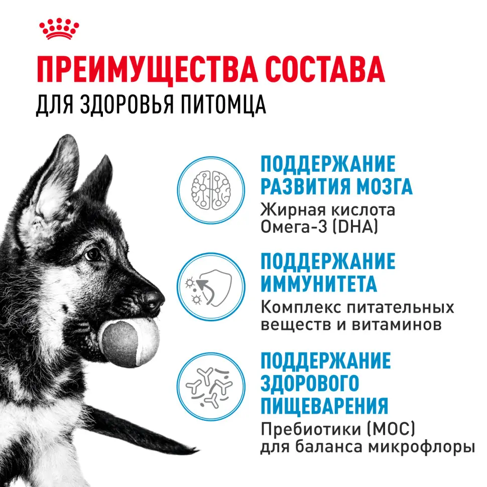 Royal canin maxi puppy сухой корм для щенков крупных пород до 15 месяцев - 3 кг в интернет-зоомагазине Pets Room