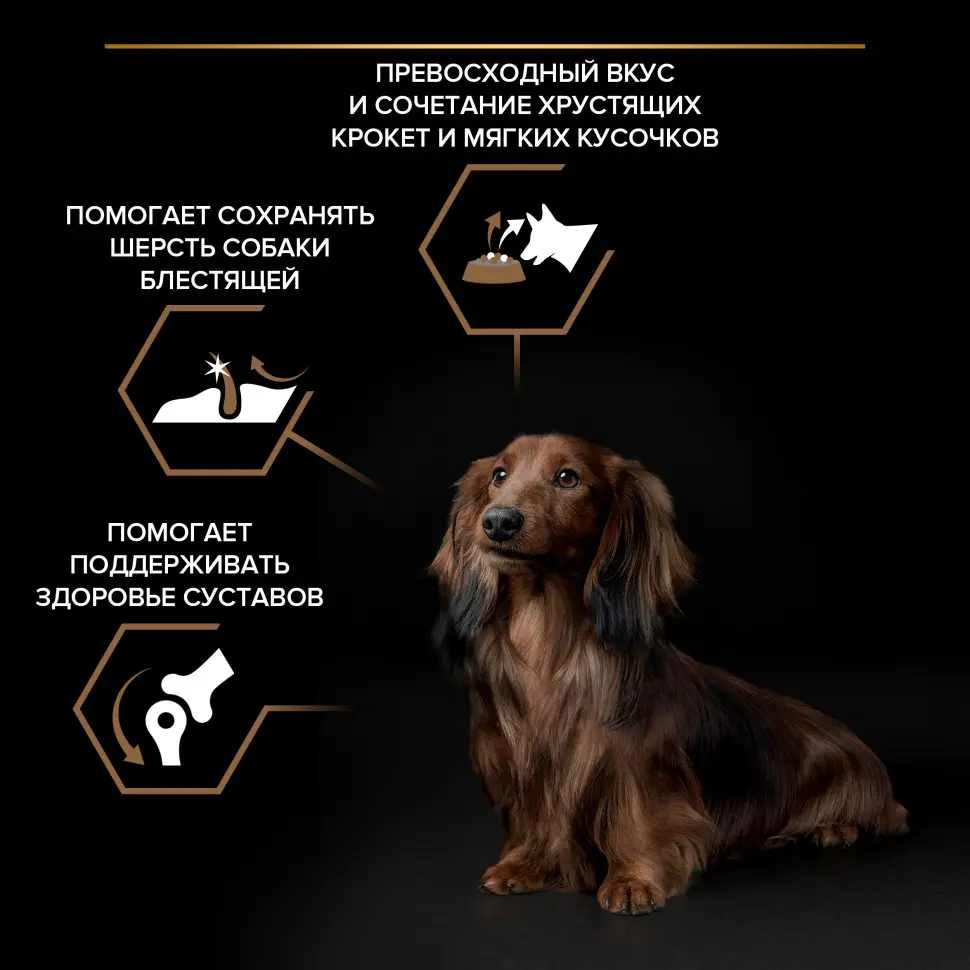 Pro plan duo delice small mini сухой корм для взрослых собак мелких и карликовых пород с говядиной - 700 г в интернет-зоомагазине Pets Room