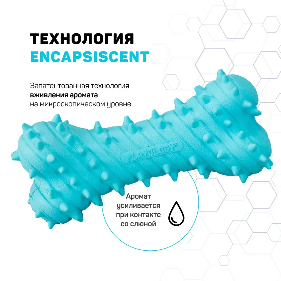 Playology puppy teething bone дентальная хрустящая жевательная косточка для щенков с ароматом арахиса, голубой в интернет-зоомагазине Pets Room