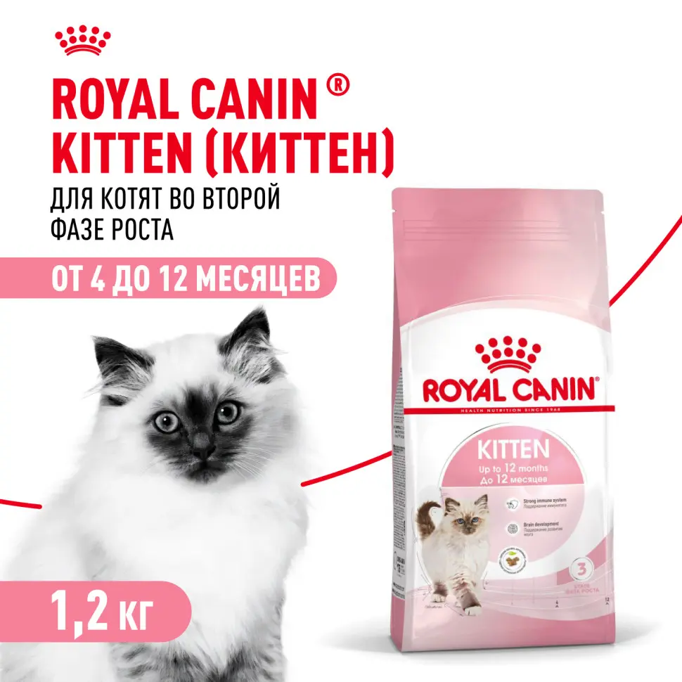 Royal canin kitten сухой корм для котят в период второй фазы роста до 12 месяцев - 1,2 кг в интернет-зоомагазине Pets Room