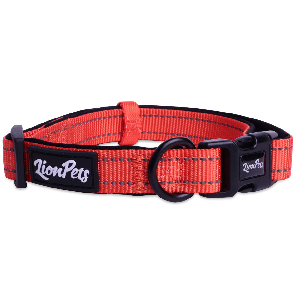 Ошейник для собак lionpets из полиэстера с неопреном и светоотражающими полосками lpo-00510-4 (обхват 40-65 см, ширина 2,5 см) фото Ошейник для собак lionpets из полиэстера с неопреном и светоотражающими полосками lpo-00510-4 (обхват 40-65 см, ширина 2,5 см) в интернет-зоомагазине Pets Room