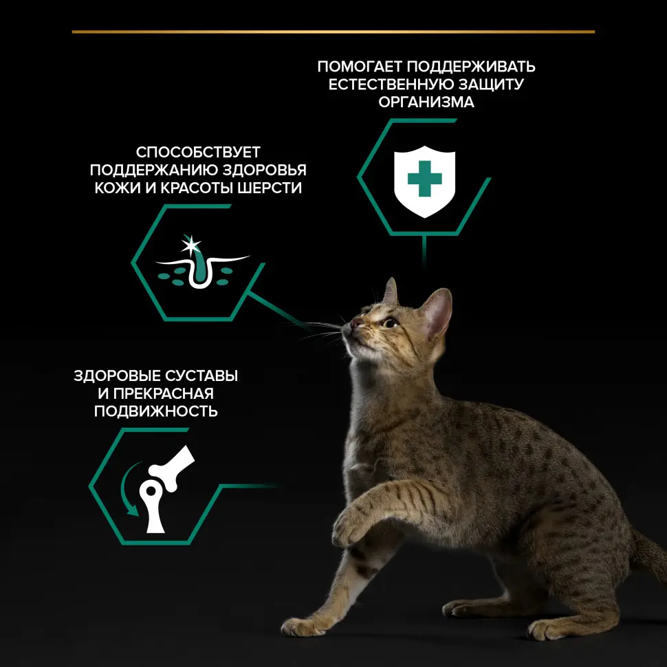 Pro plan 85 г пауч влажный  корм для взрослых кошек, кусочки с ягненком, в желе в интернет-зоомагазине Pets Room