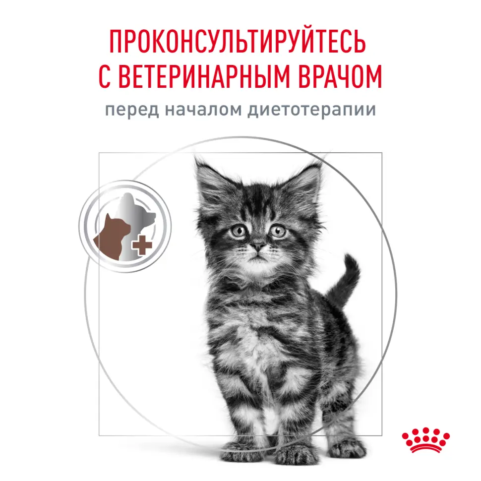 Royal canin vd gastrointestinal киттен 2 кг в интернет-зоомагазине Pets Room