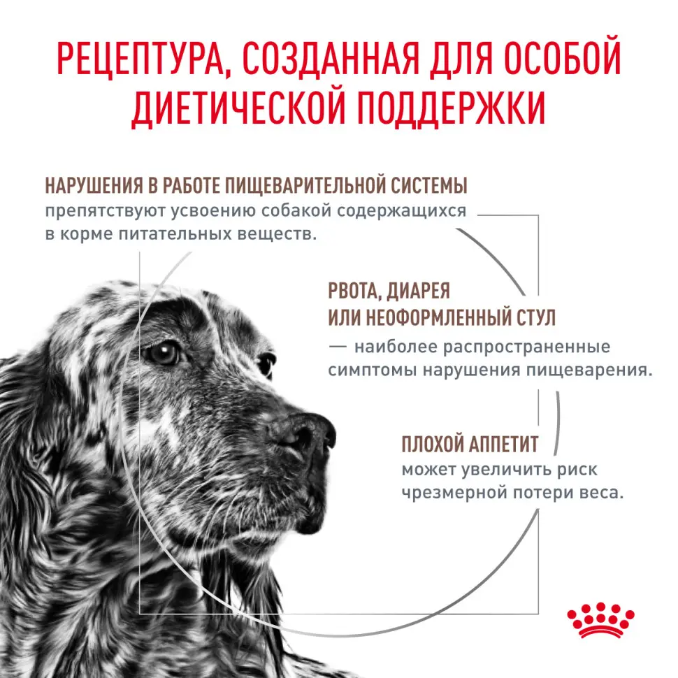 Royal canin canine gastro intestinal gi25 сухой диетический корм с птицей для взрослых собак всех пород при нарушении пищеварения - 2 кг в интернет-зоомагазине Pets Room