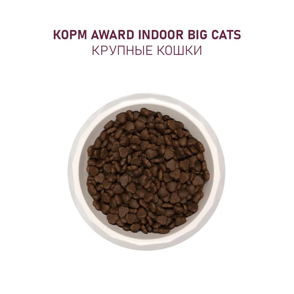 Award indoor big cats сухой корм для взрослых домашних кошек крупных пород, с говядиной, курицей, брокколи и юккой шидигера - 400 г в интернет-зоомагазине Pets Room