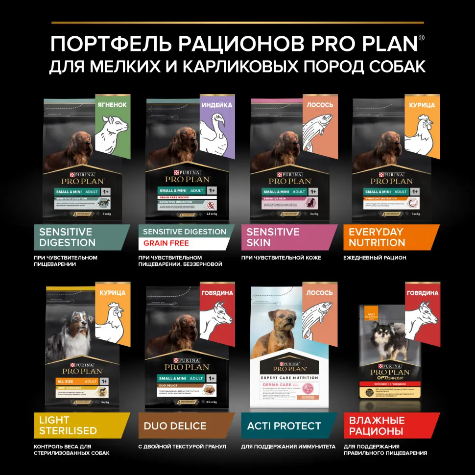Pro plan duo delice small mini сухой корм для взрослых собак мелких и карликовых пород с говядиной - 700 г в интернет-зоомагазине Pets Room