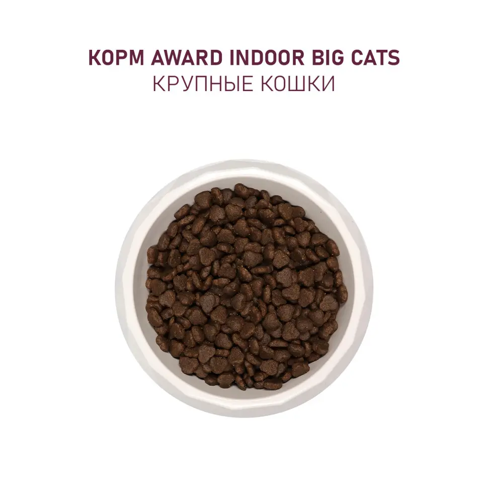 Award indoor big cats сухой корм для взрослых домашних кошек крупных пород, с говядиной, курицей, брокколи и юккой шидигера - 1,5 кг в интернет-зоомагазине Pets Room