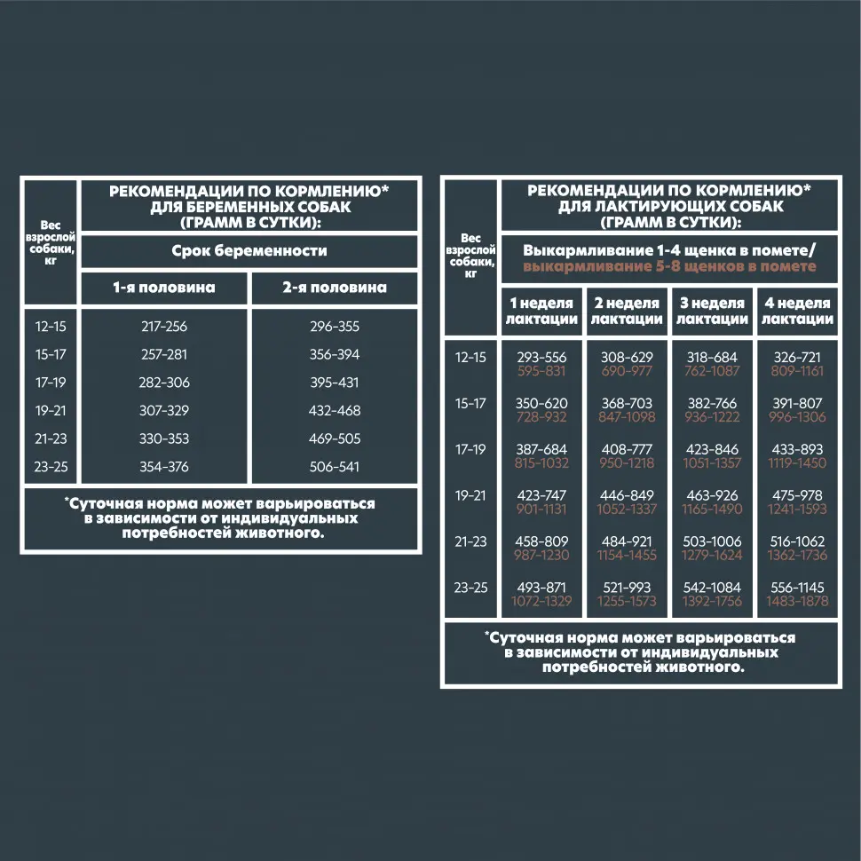 Alphapet superpremium сухой полнорационный корм для щенков, беременных и кормящих собак средних пород с говядиной и рисом - 2 кг в интернет-зоомагазине Pets Room
