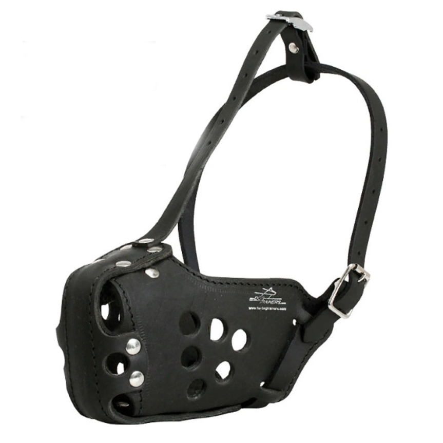 Намордник кож №1 (пудель) rich breed фото Намордник кож №1 (пудель) rich breed в интернет-зоомагазине Pets Room