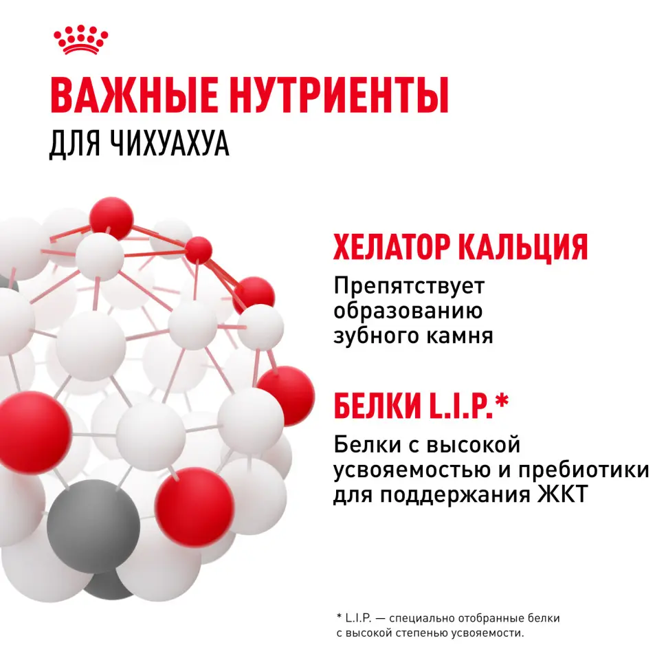 Royal canin chihuahua adult сухой корм для собак породы чихуахуа в возрасте 8 месяцев - 1,5 кг в интернет-зоомагазине Pets Room