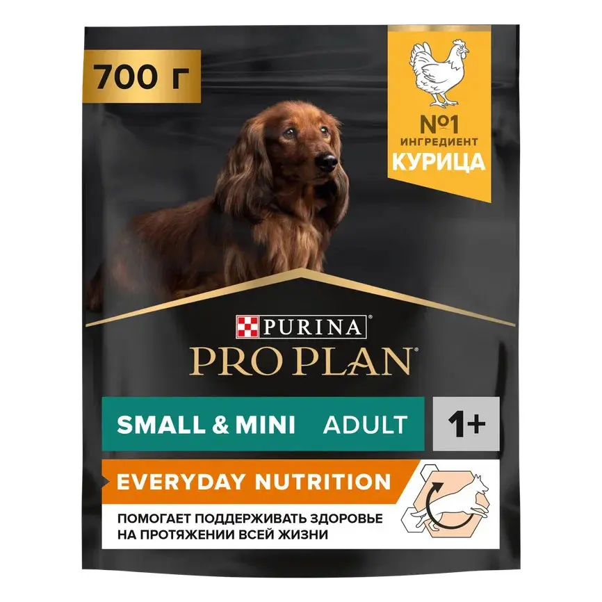 Purina pro plan small & mini сухой корм для взрослых собак миниатюрных и мелких пород с курицей и рисом - 700 г фото фото №1 Purina pro plan small & mini сухой корм для взрослых собак миниатюрных и мелких пород с курицей и рисом - 700 г в интернет-зоомагазине Pets Room
