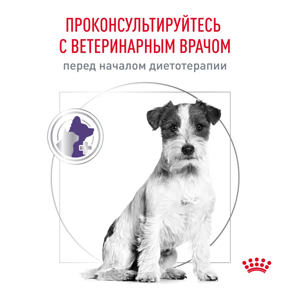 Royal canin neutered adult small dog сухой корм для взрослых кастрированных собак мелких пород 800г в интернет-зоомагазине Pets Room