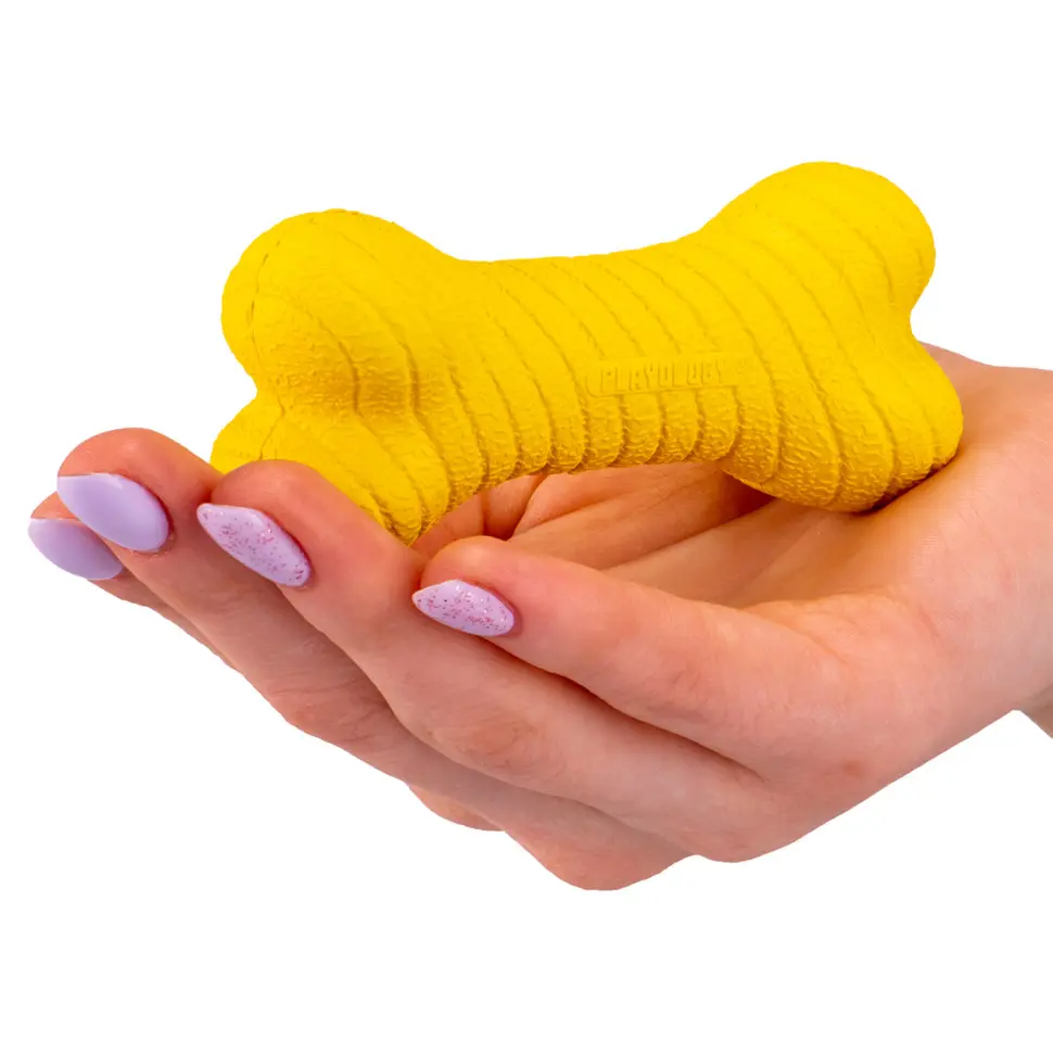 Playology dual layer bone двухслойная жевательная косточка для собак с ароматом курицы, маленькая, желтый в интернет-зоомагазине Pets Room