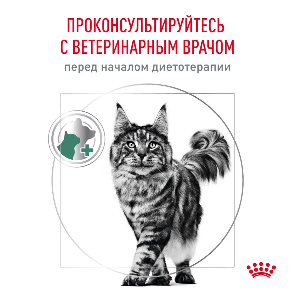 Royal canin satiety weight management сухой диетический корм для взрослых кошек с избыточным весом - 400 г в интернет-зоомагазине Pets Room