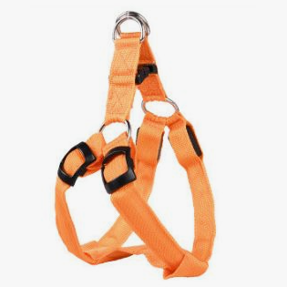 Шлейка с led подсветкой xl (ш.48-75 гр.80-110) rich breed ш-34 оранжевый фото Шлейка с led подсветкой xl (ш.48-75 гр.80-110) rich breed ш-34 оранжевый в интернет-зоомагазине Pets Room