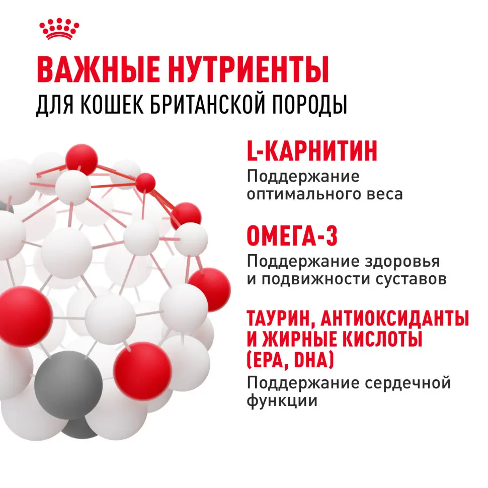 Royal canin british shorthair сухой корм для взрослых кошек породы британская короткошерстная - 400 г в интернет-зоомагазине Pets Room