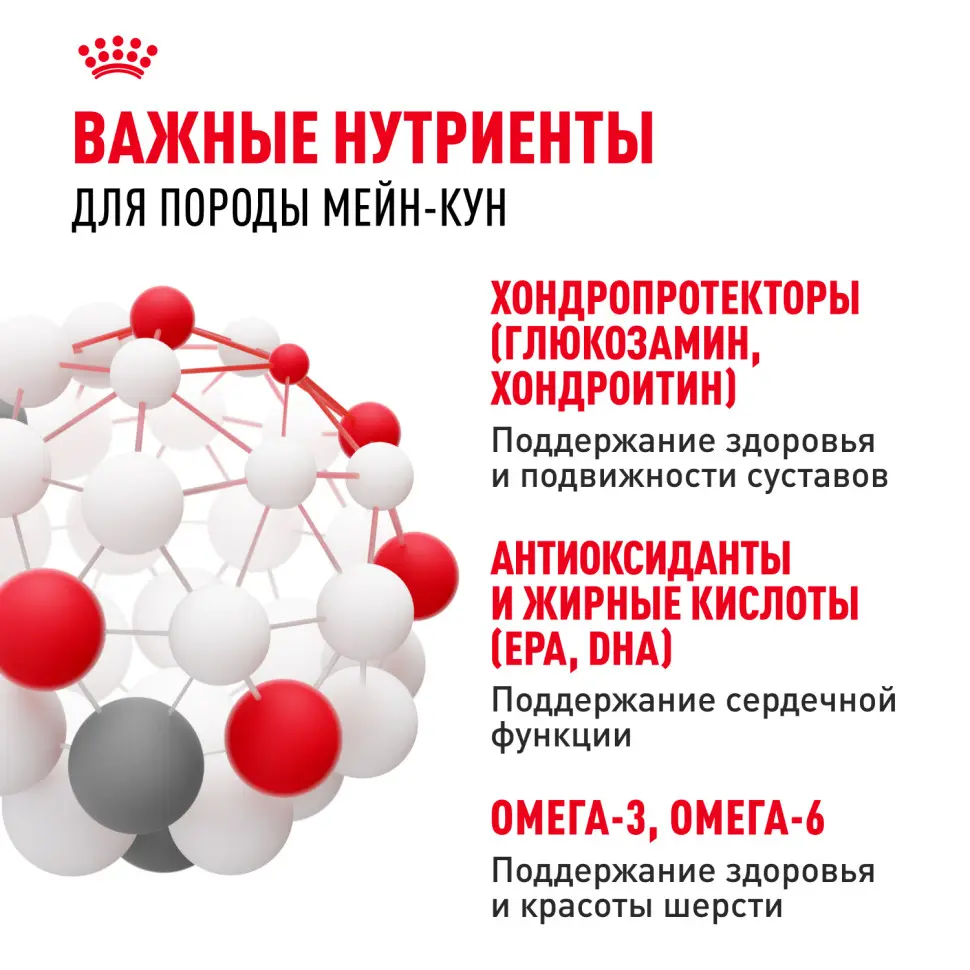 Royal canin maine coon adult сухой корм для взрослых кошек породы мейн - кун - 400 г в интернет-зоомагазине Pets Room