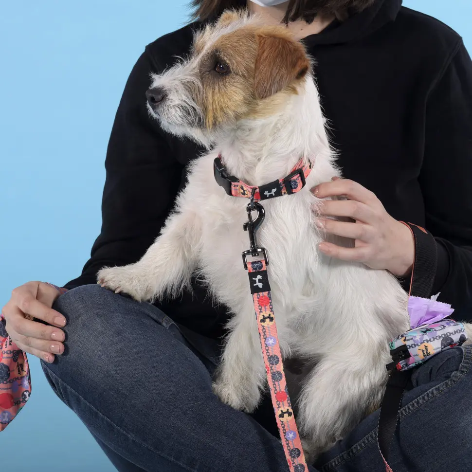 United pets complete me forever ошейник для собак, m 34-56/2 см, оранжевый с рисунком в интернет-зоомагазине Pets Room