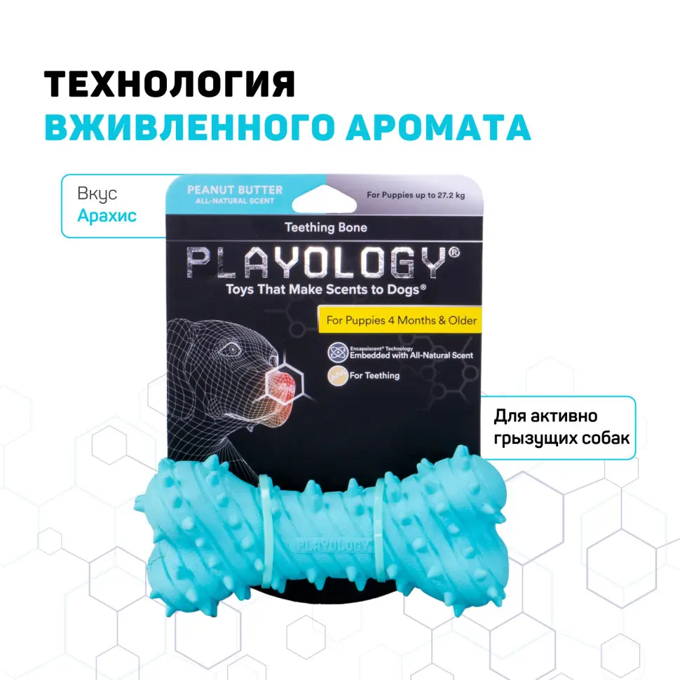 Playology puppy teething bone дентальная хрустящая жевательная косточка для щенков с ароматом арахиса, голубой в интернет-зоомагазине Pets Room