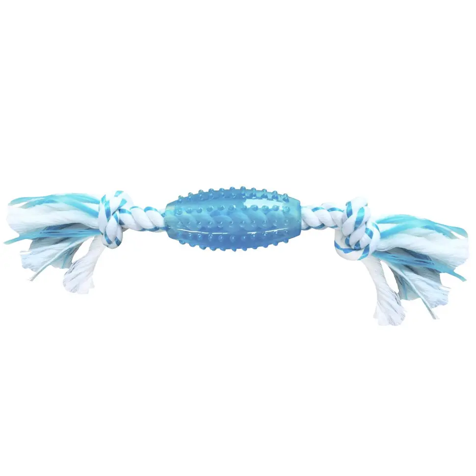 Canine clean игрушка для собак регби с ароматом мяты, из синтетической резины с канатом, 25 см, голубая в интернет-зоомагазине Pets Room