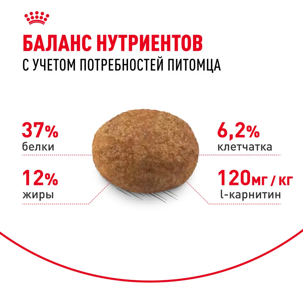 Royal canin sterilised 37 сухой корм для взрослых стерилизованных кошек - 2 кг в интернет-зоомагазине Pets Room