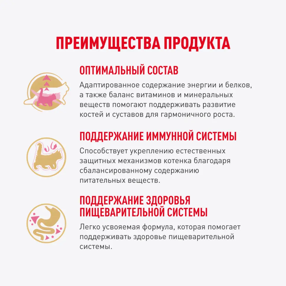 Royal canin kitten maine coon 85 г пауч влажный рацион для кошек породы мейн-кун в возрасте от 3 до 15 месяцев в интернет-зоомагазине Pets Room