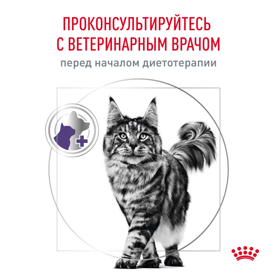 Royal canin neutered satiety balance сухой полнорационный корм для стерилизованных или склонных к набору веса кошек с момента стерилизации до 7 лет - 300 г в интернет-зоомагазине Pets Room