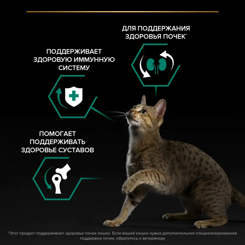 Pro plan cat adult сухой корм для взрослых кошек с курицей - 1,5 кг в интернет-зоомагазине Pets Room