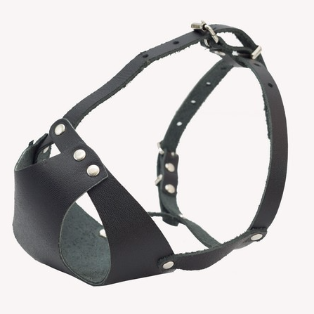 Намордник кожаный цельнокроеный для мелких пород собак (мопс) в интернет-зоомагазине Pets Room