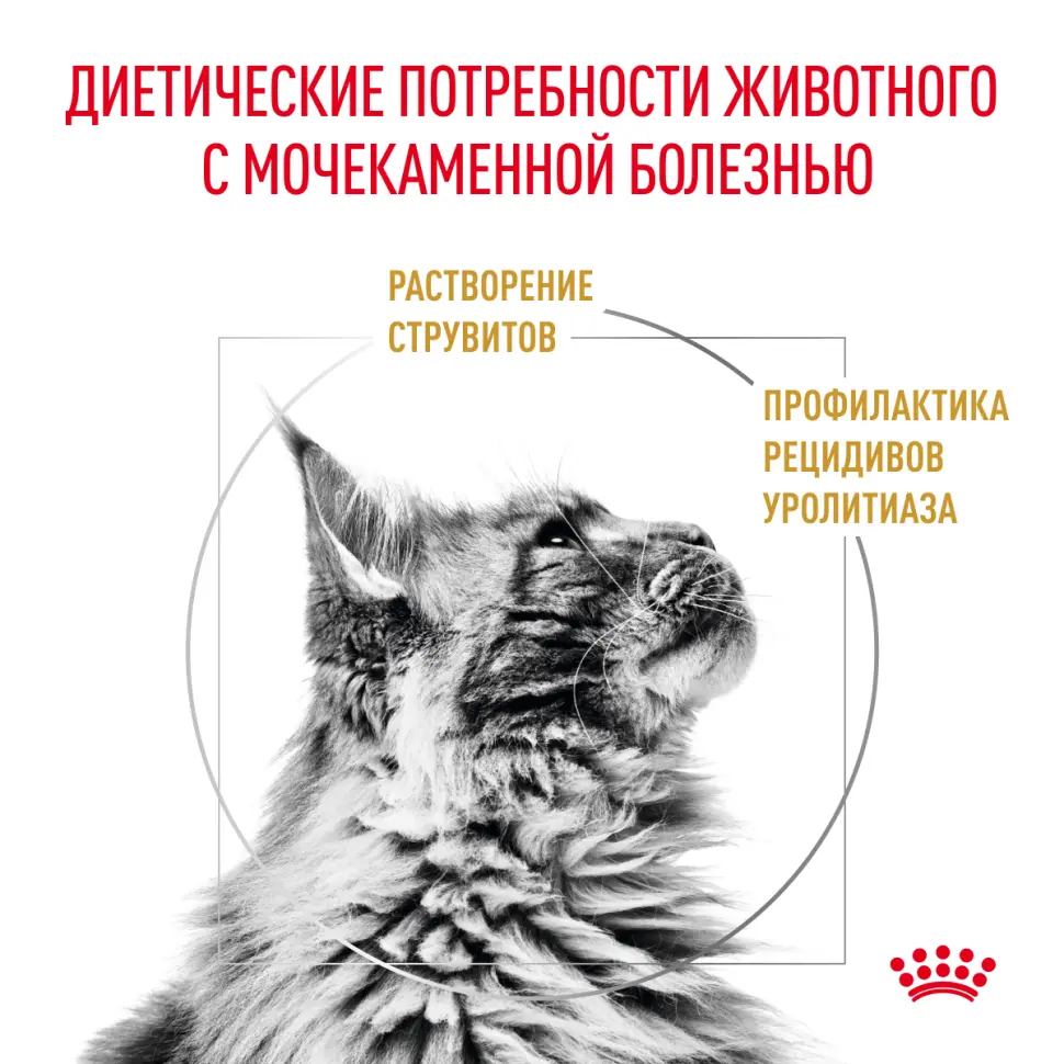 Royal canin urinary s/o сухой диетический корм для взрослых кошек, способствующий растворению струвитных мочевых камней и снижению риска их повторного образования - 350 г в интернет-зоомагазине Pets Room