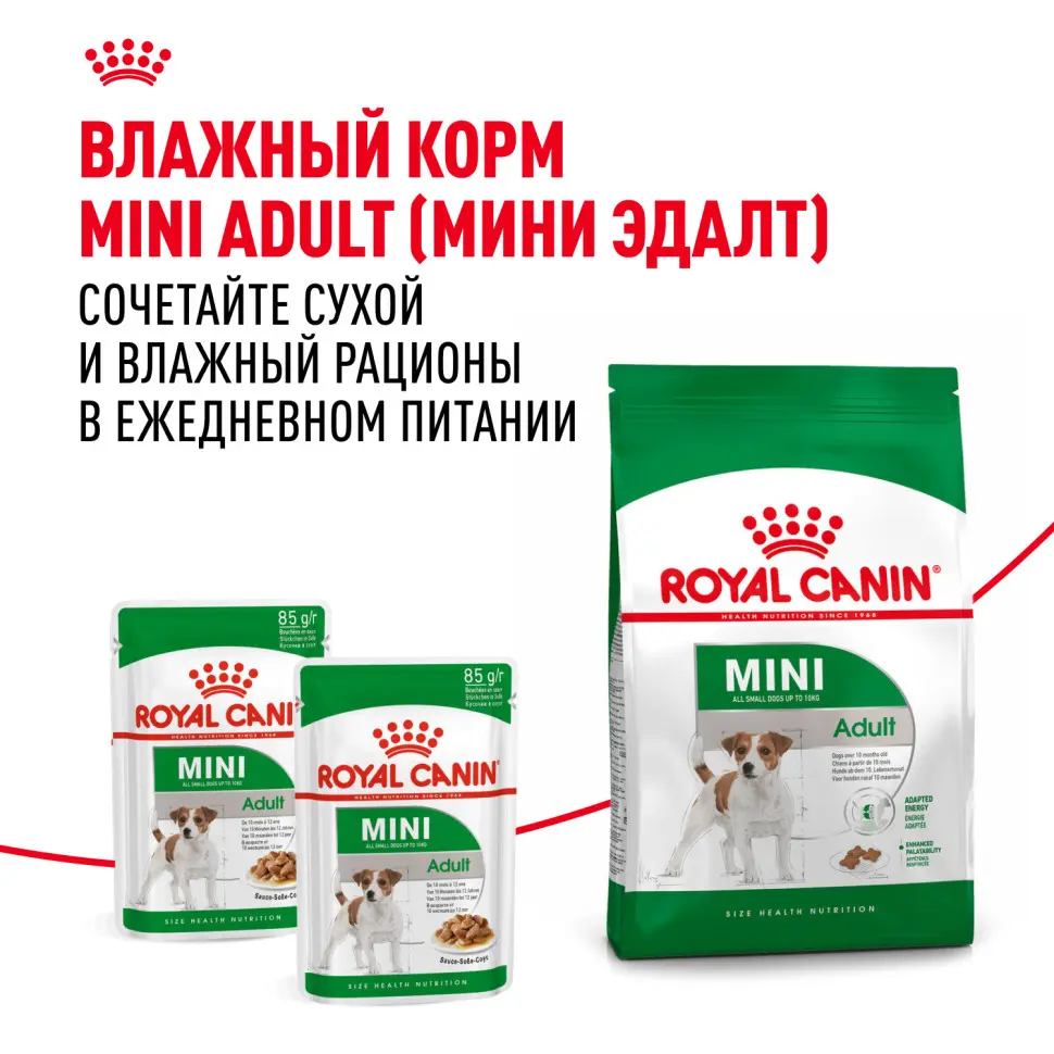 Royal canin mini adult сухой корм для собак мелких пород - 800 г в интернет-зоомагазине Pets Room