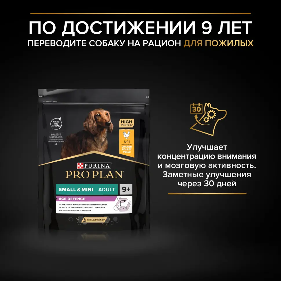 Pro plan duo delice small mini сухой корм для взрослых собак мелких и карликовых пород с говядиной - 700 г в интернет-зоомагазине Pets Room