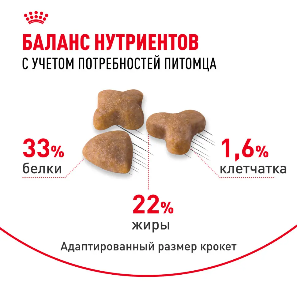 Royal canin sensible 33 сухой корм для взрослых кошек с чувствительной пищеварительной системой - 400 гр в интернет-зоомагазине Pets Room