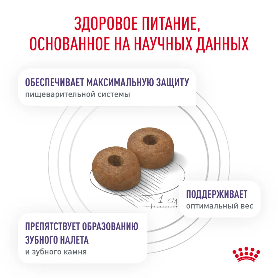Royal canin neutered adult small dog сухой корм для взрослых кастрированных собак мелких пород 800г в интернет-зоомагазине Pets Room