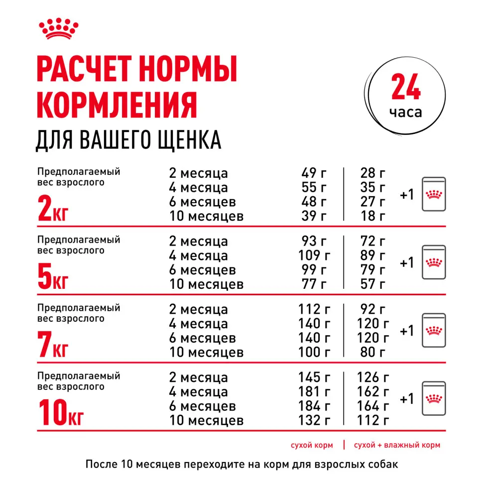 Royal canin mini puppy сухой корм для щенков мелких пород до 8 месяцев - 800 г в интернет-зоомагазине Pets Room