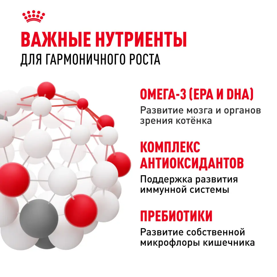 Royal canin kitten 34 сухой корм для котят от 4 до 12 месяцев с птицей - 300 г в интернет-зоомагазине Pets Room