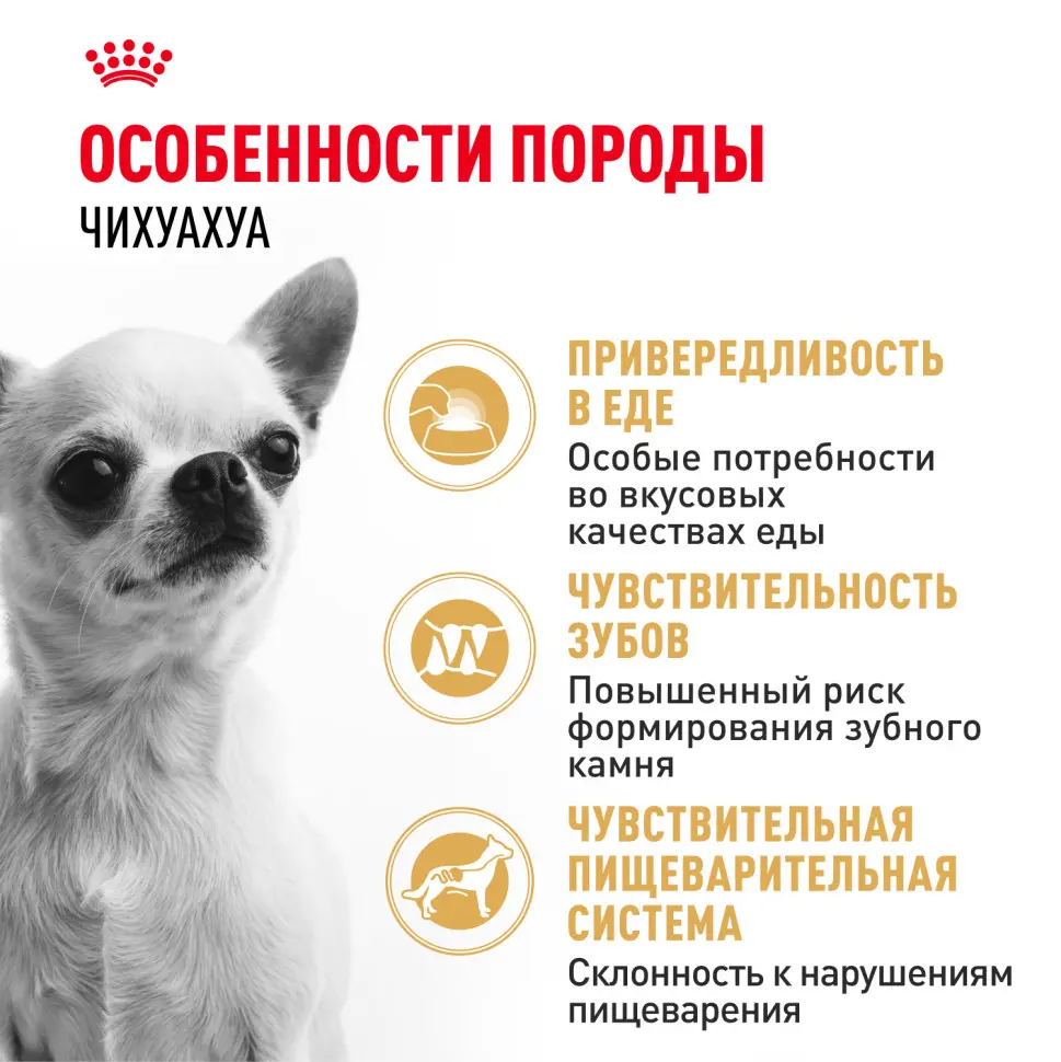 Royal canin chihuahua adult сухой корм для собак породы чихуахуа в возрасте 8 месяцев - 1,5 кг в интернет-зоомагазине Pets Room
