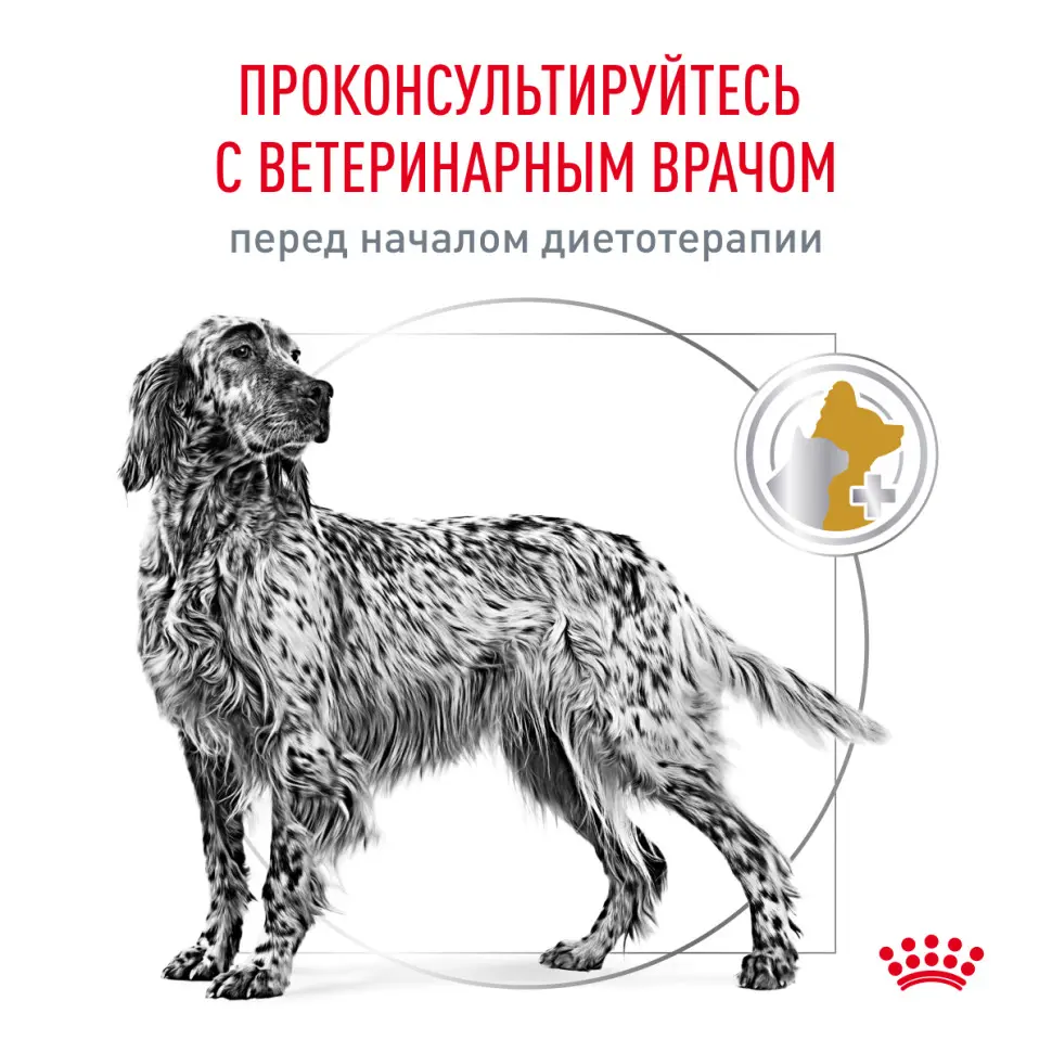 Royal canin vd уринари c/o канин 2 кг в интернет-зоомагазине Pets Room