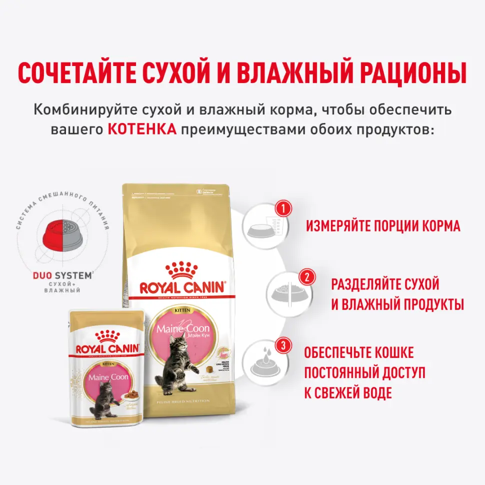 Royal canin kitten maine coon 85 г пауч влажный рацион для кошек породы мейн-кун в возрасте от 3 до 15 месяцев в интернет-зоомагазине Pets Room