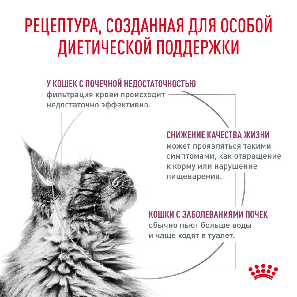 Royal canin renal диетический сухой корм для взрослых кошек с хронической почечной недостаточностью, с курицей - 350 г в интернет-зоомагазине Pets Room