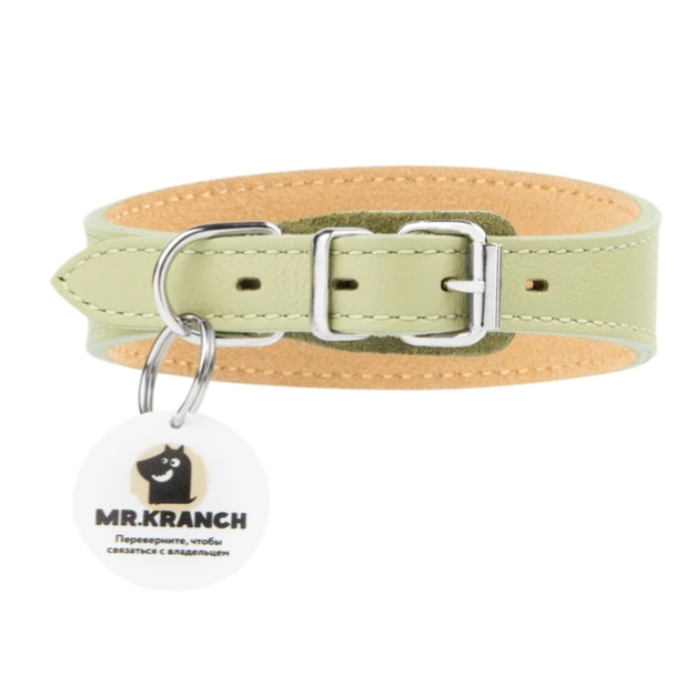 Ошейник-селедка mr.kranch для собак из натуральной кожи с qr-адресником, 21-25см, нежно-зеленый (33007) фото Ошейник-селедка mr.kranch для собак из натуральной кожи с qr-адресником, 21-25см, нежно-зеленый (33007) в интернет-зоомагазине Pets Room